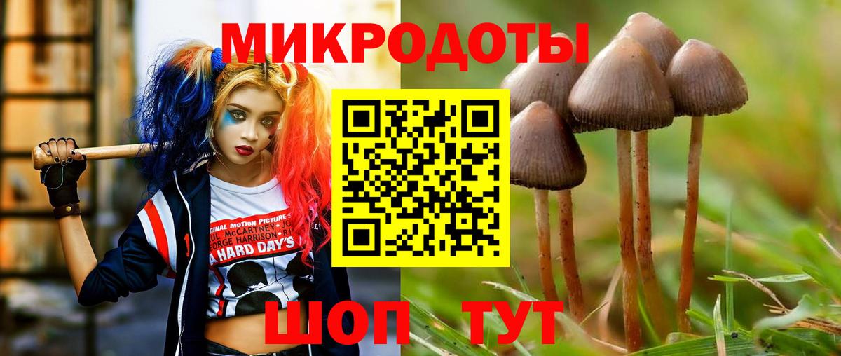 Псилоцибиновые грибы мицелий  Вход с VPN  Славянск-на-Кубани  Галлюциногенные грибы мухоморы 